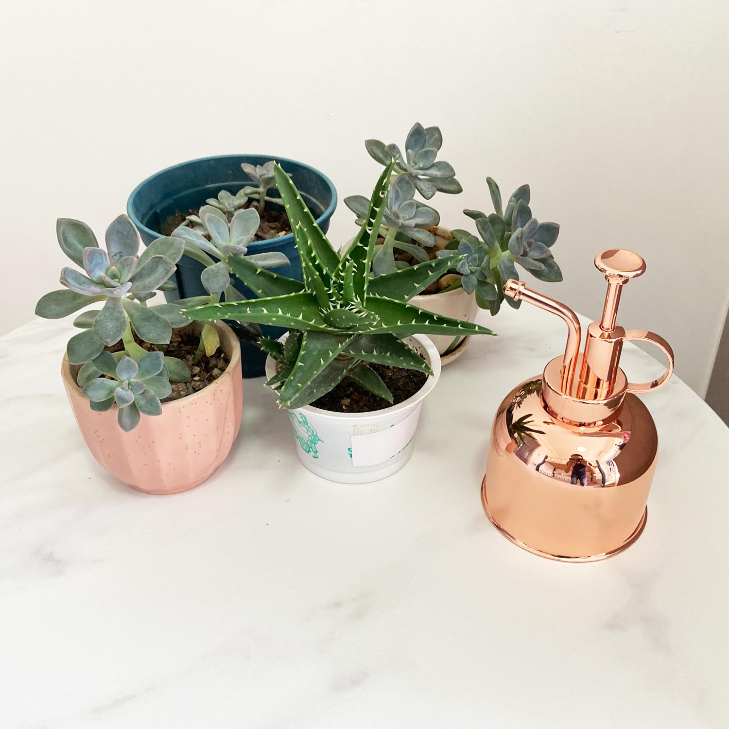 Lianshi compact watering can supports one-hand operation for quick misting.