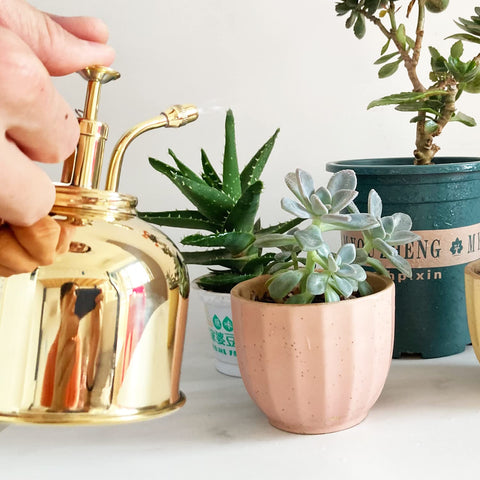 Lianshi compact indoor spray pot ideal for orchids and small pots.