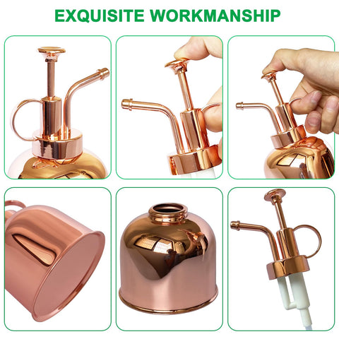 Lianshi decorative plant sprayer with colorful finish enhances home gardening.