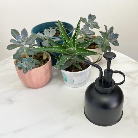 Lianshi multipurpose spray tool for watering, misting, and light cleaning.
