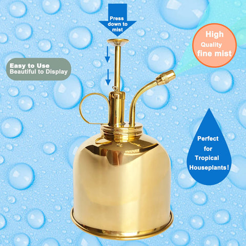 Lianshi plant humidity booster keeps small potted plants healthy.