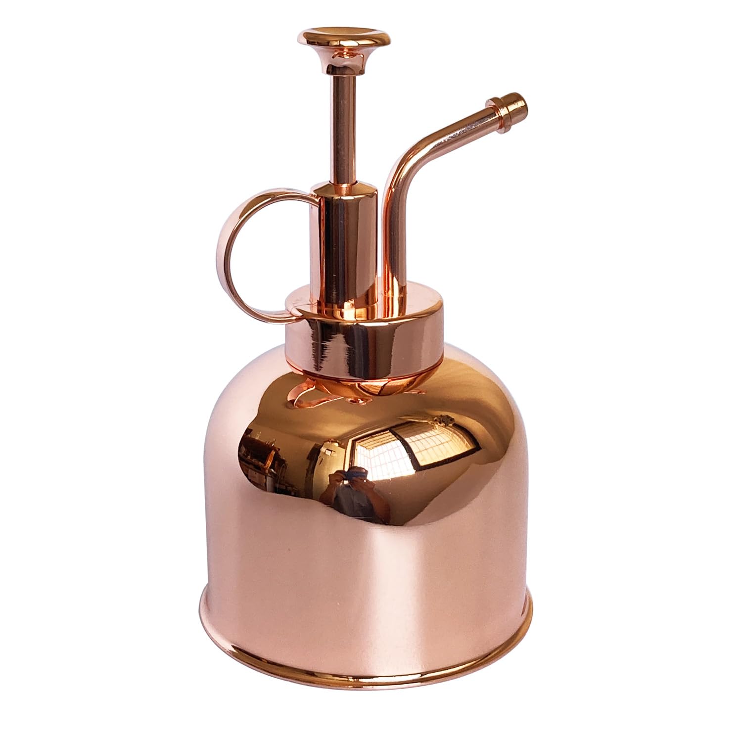 Lianshi plant mister bottle with stainless steel body for precise indoor watering.
