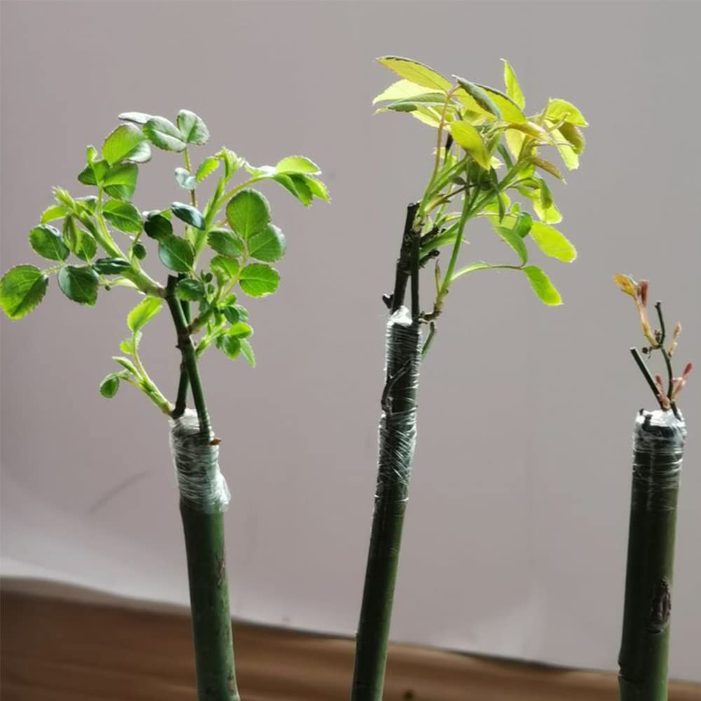 Liaogo breathable grafting tape allows gas exchange at the graft site