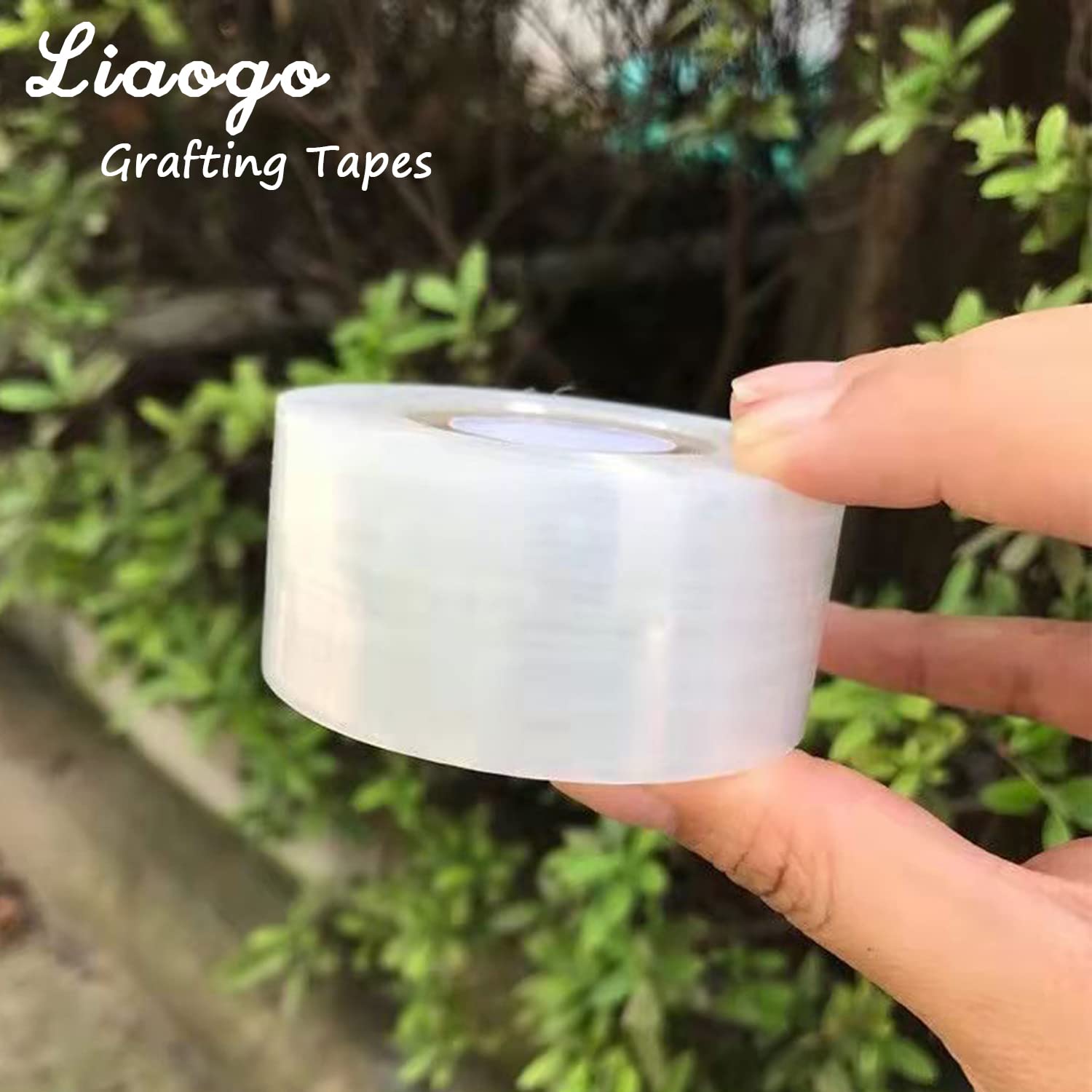 Liaogo grafting tape applied on a branch for budding