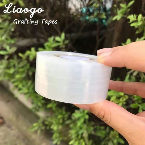 Liaogo grafting tape applied on a branch for budding