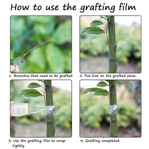 Liaogo two-roll pack displayed for larger grafting projects