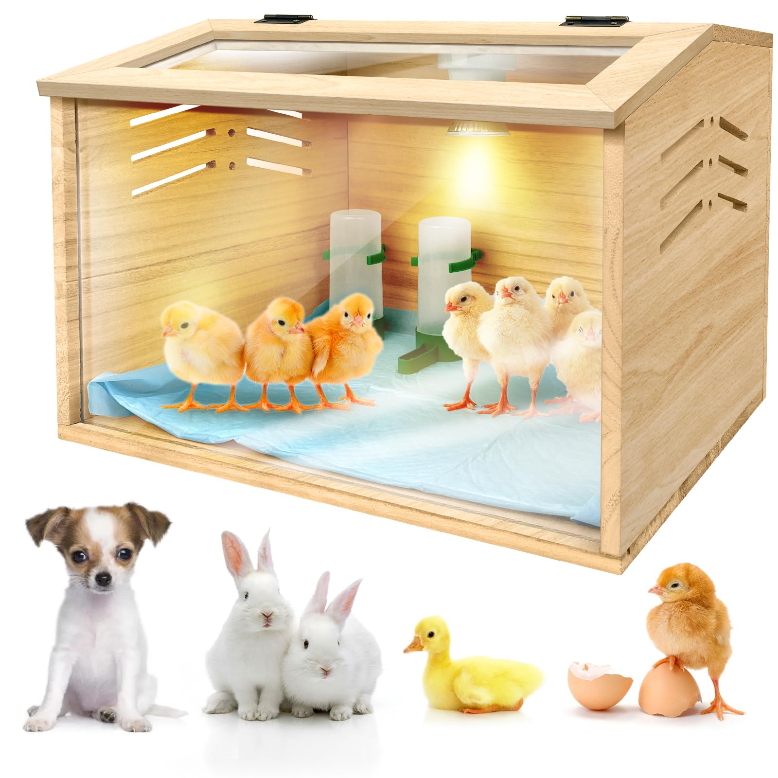 LIAQICHA chicken brooder box assembled for quick setup and warmth