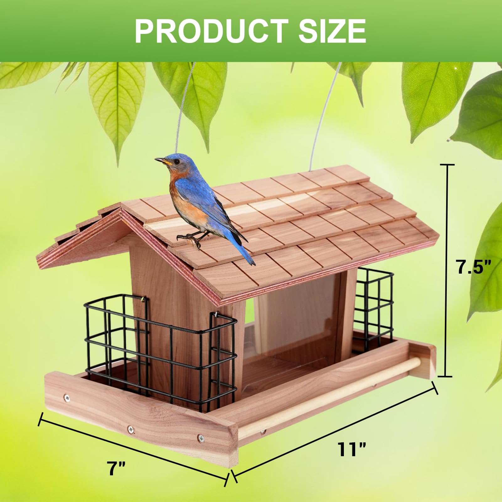 Liawm bird feeder side suet cages demonstrate versatile feeding options.
