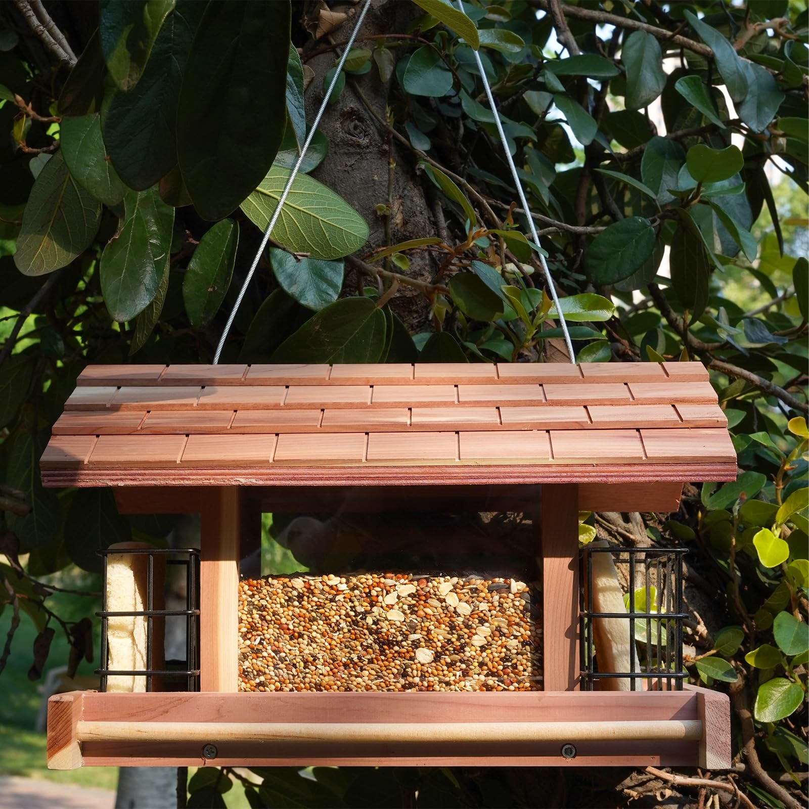 Liawm drainage baffle design prevents water; seeds stay dry.