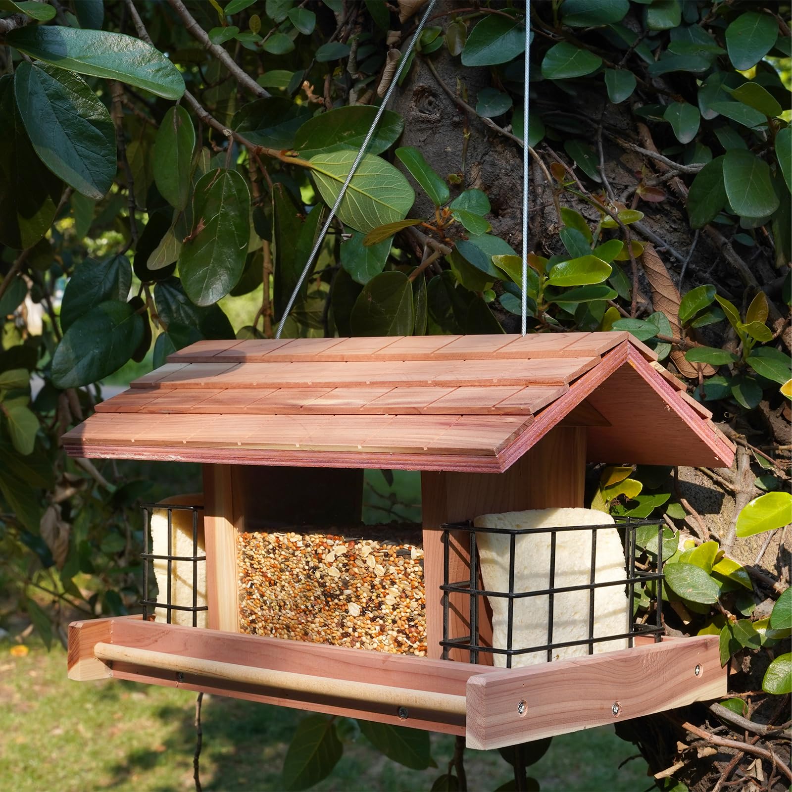 Liawm red cedar bird feeder exterior view showing durable weatherproof housing.