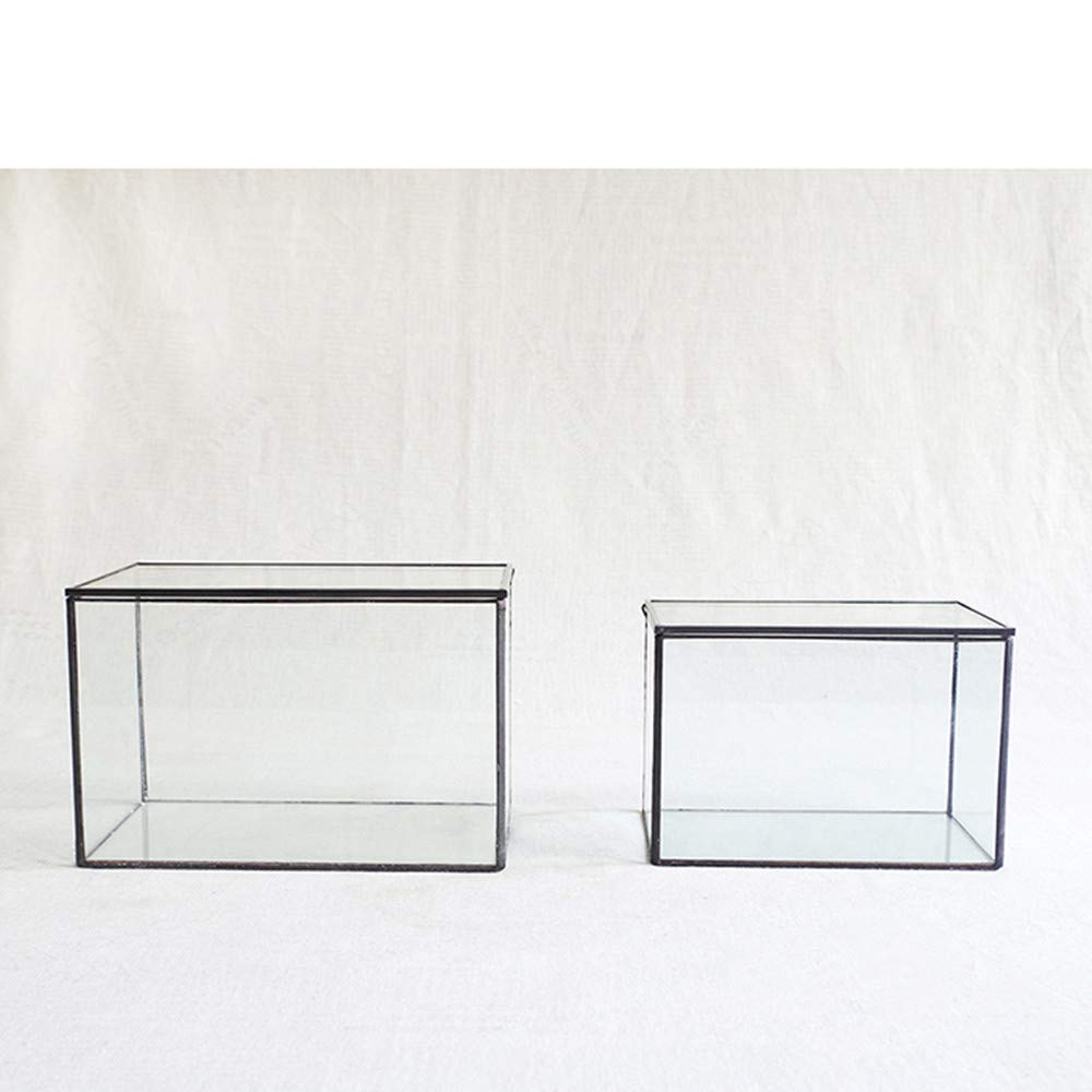 Libproqia display box suited for weddings or gifts, adds ambiance.