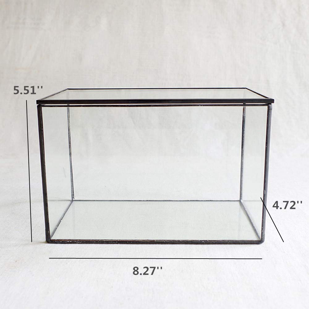 Libproqia geometric clear container showcases succulents in modern décor.