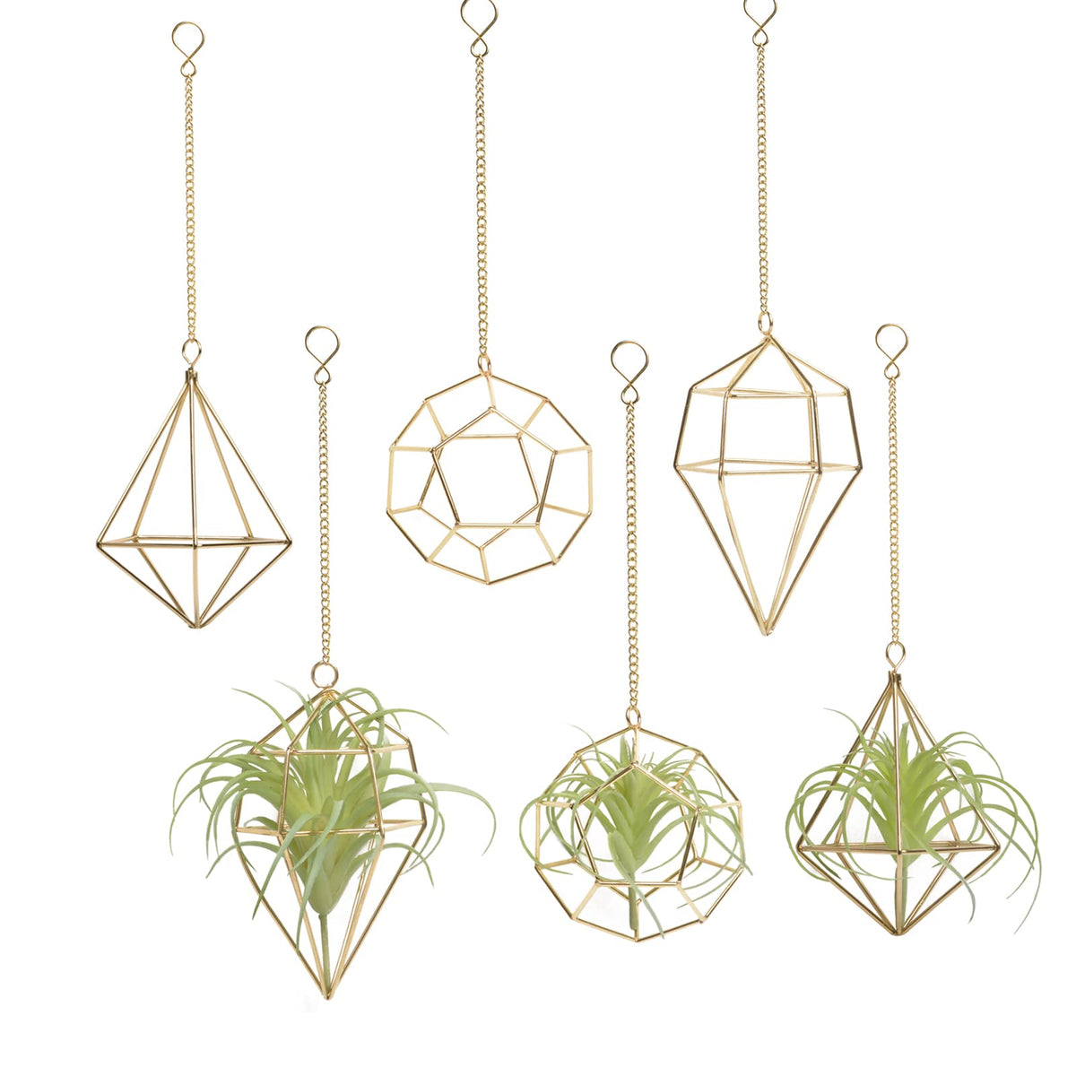 Libproqia gold football-hanger displays a small air plant for chic ceiling decor.