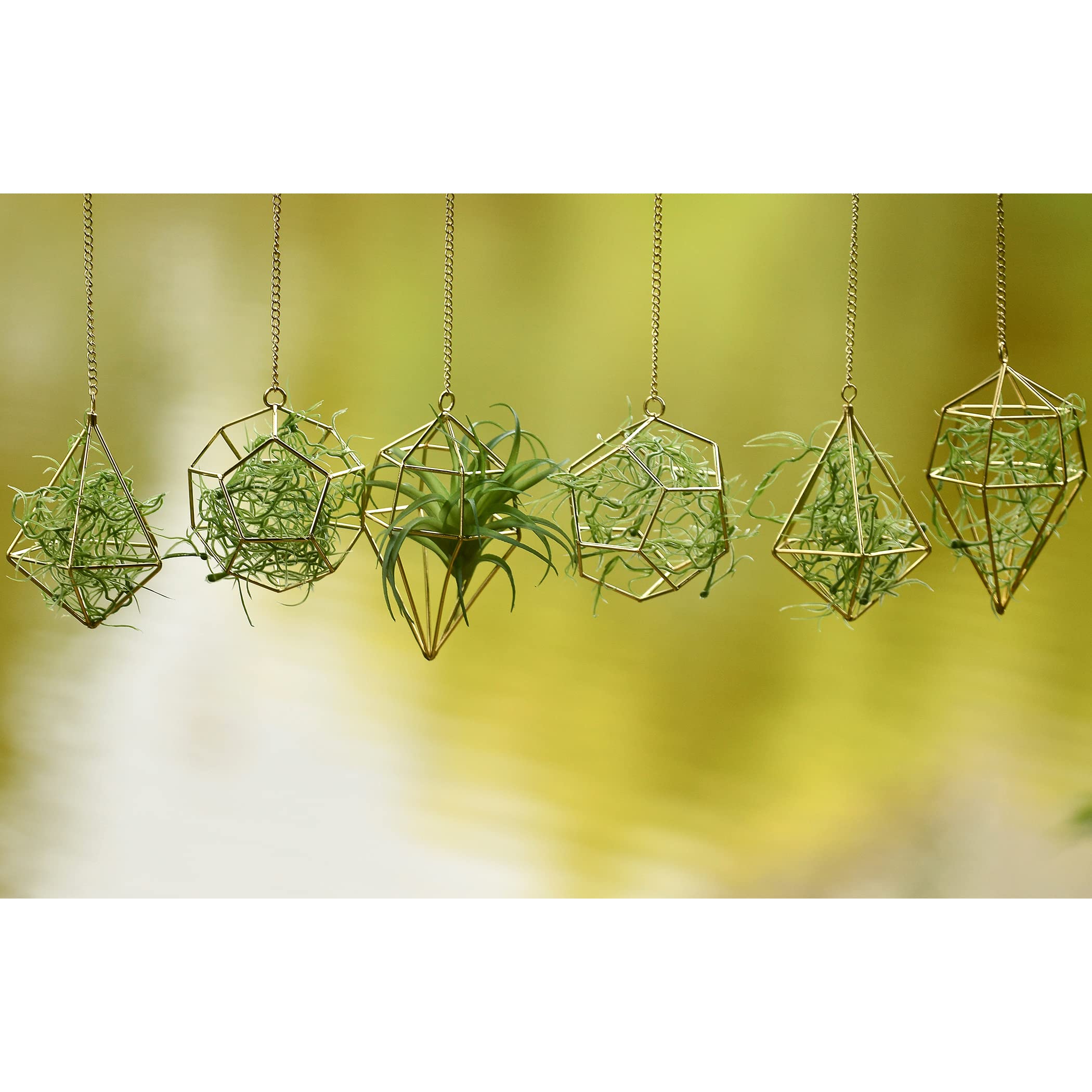 Libproqia gold hanging-display setup ideal for wedding decor and home accents.