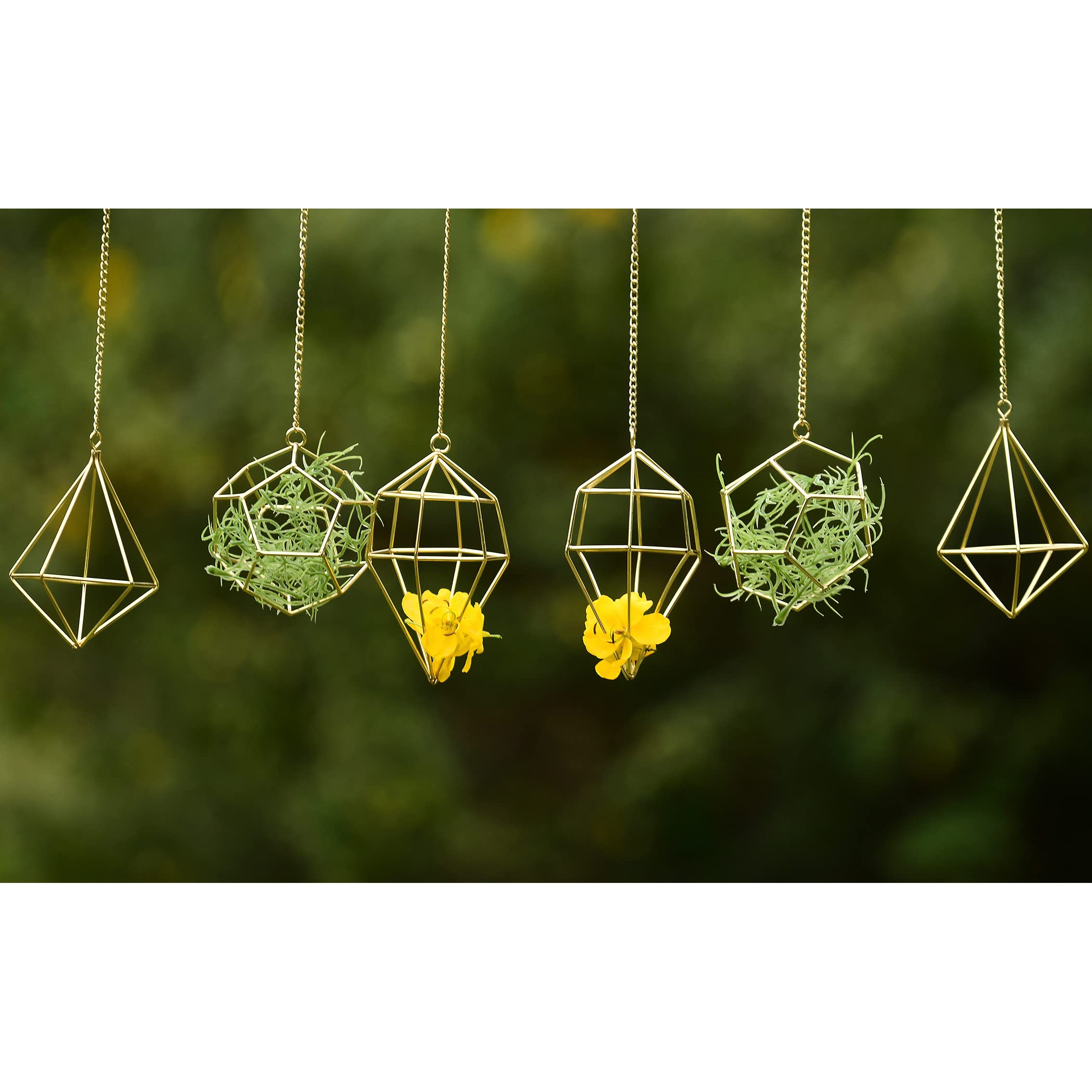 Libproqia gold pentagon-hanger closeup emphasizes edgy lines and durability.