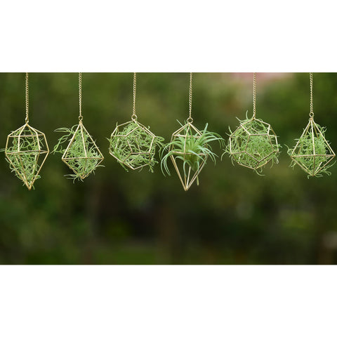 Libproqia gold six-pack-hangers ready to elevate any space.