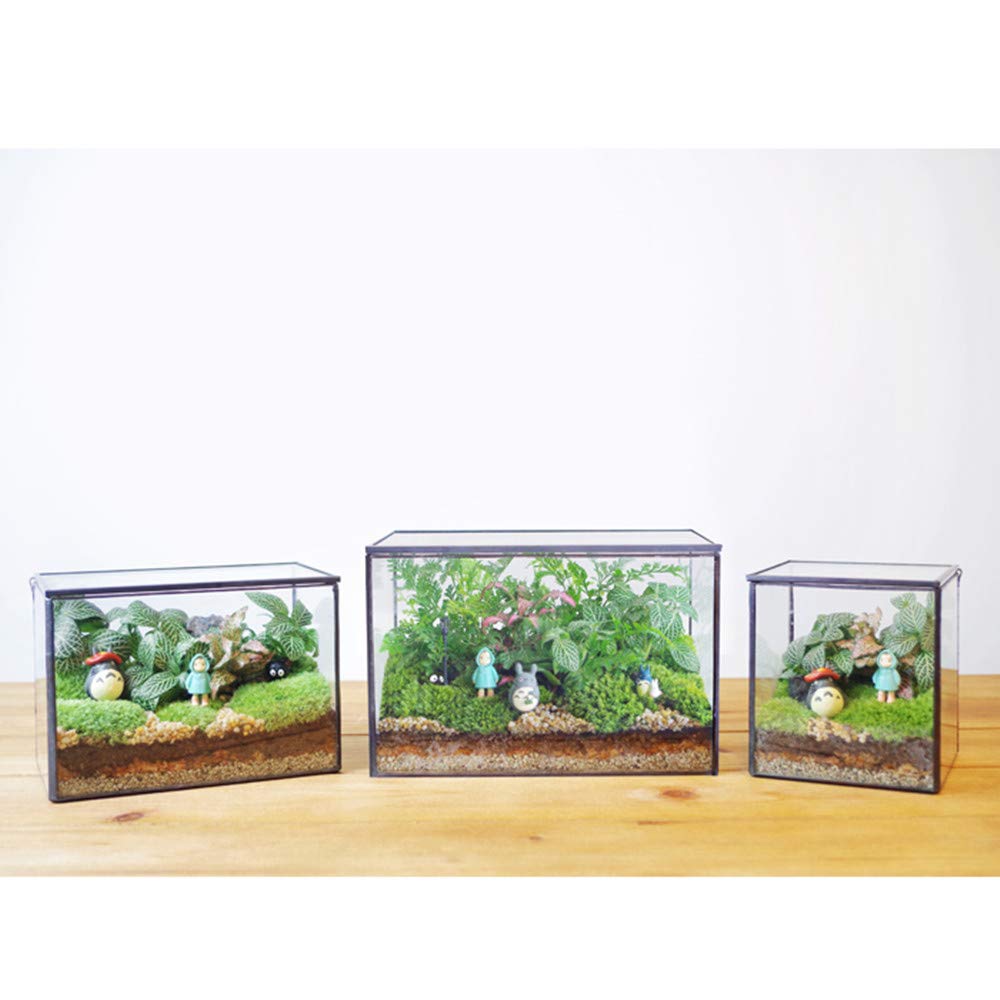 Libproqia table top décor terrarium invites creative mini-gardens.