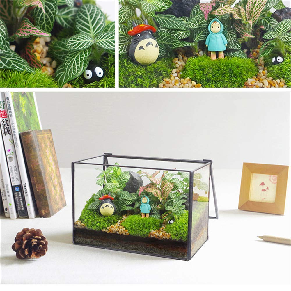 Libproqia toughened glass terrarium reduces breakage risk during transport.