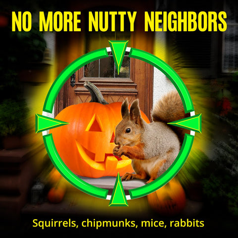 Lickoon Chipmunk Deterrent Garden keeps garden plants safe from chew-prone visitors.