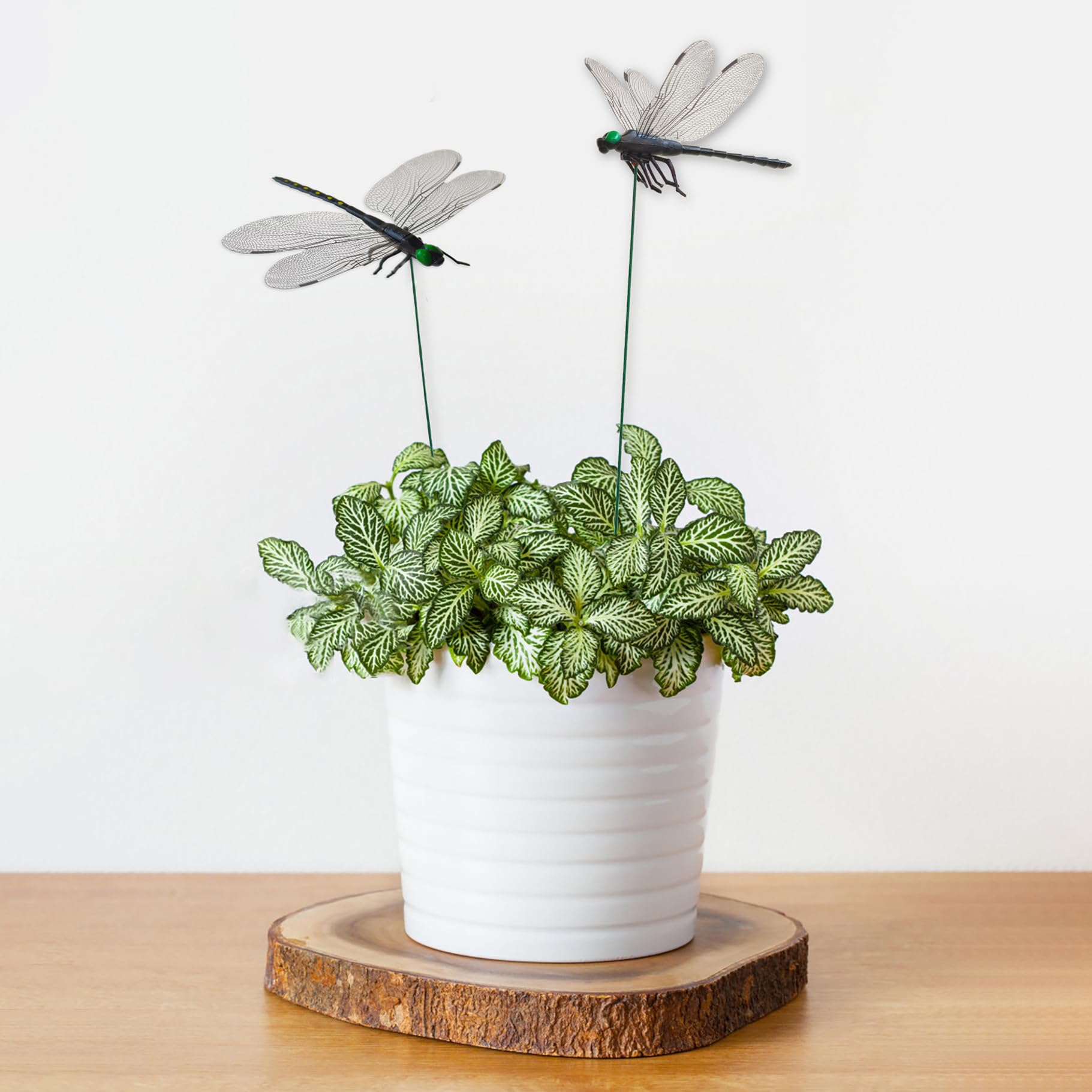 Lidengle dragonfly stake 3D realistic wings ideal for pathways and patios
