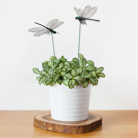 Lidengle dragonfly stake 3D realistic wings ideal for pathways and patios