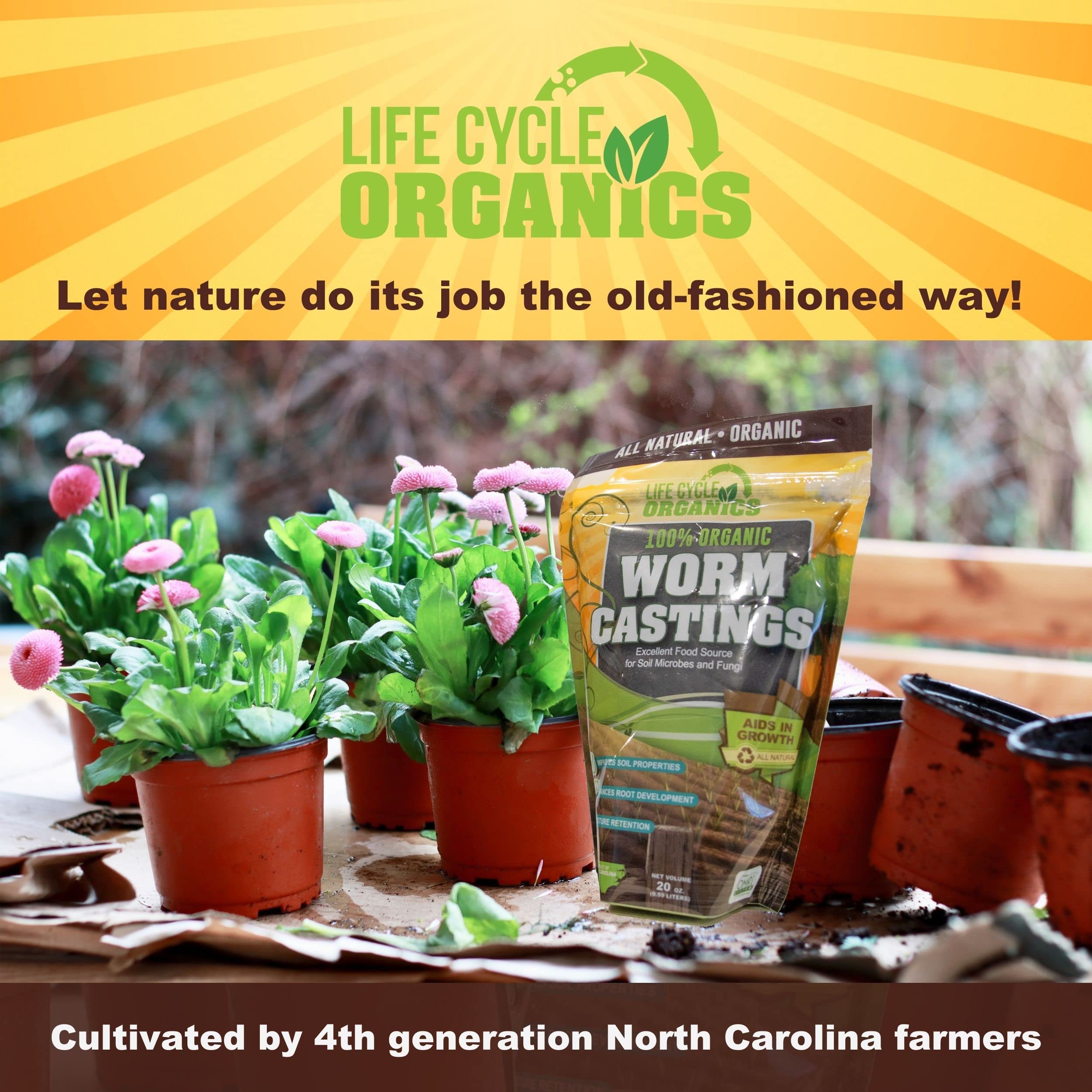 Healthy crops thriving after Life Cycle Organics castings application.