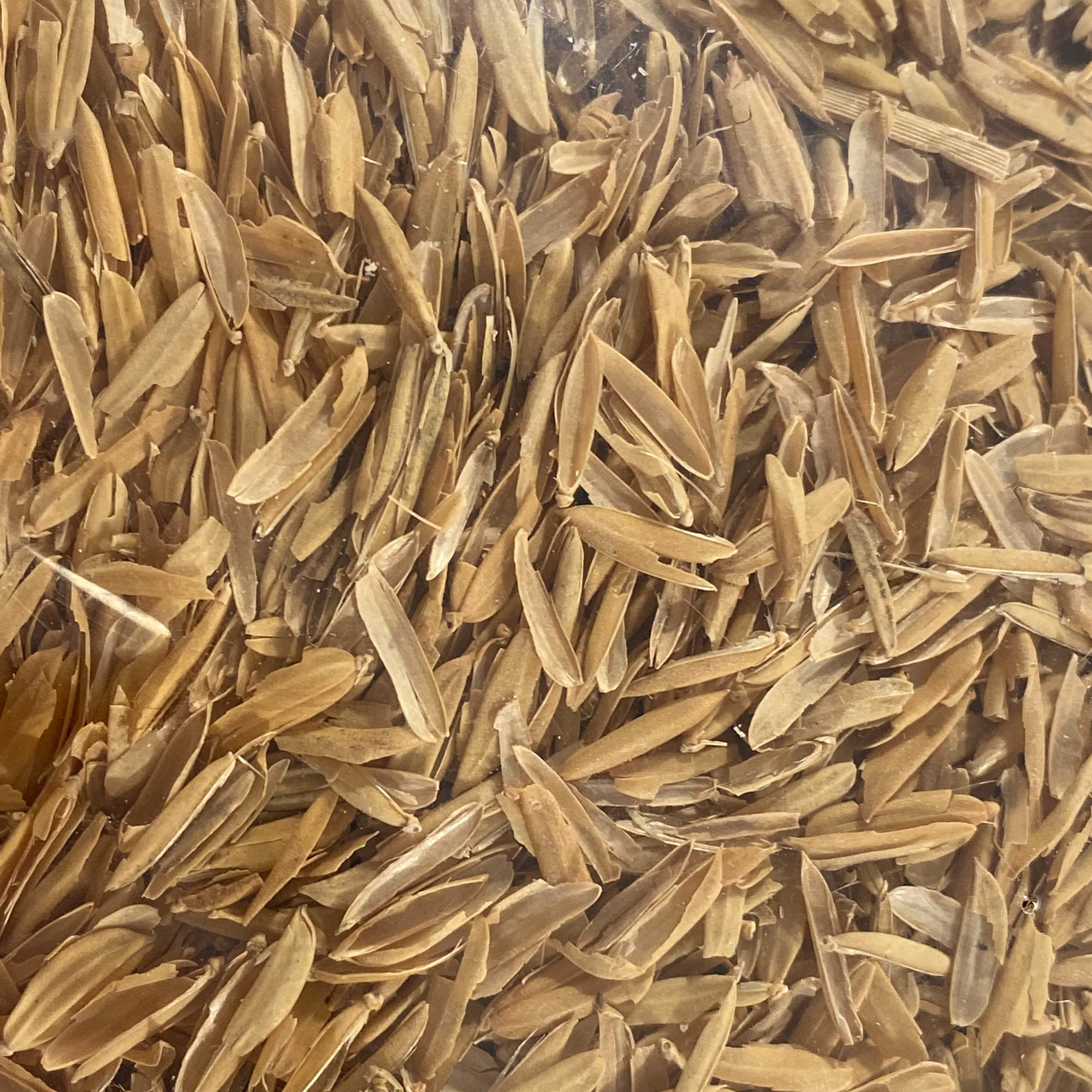 Life Cycle Organics Rice Hulls pour scene showing aeration in potted plants.