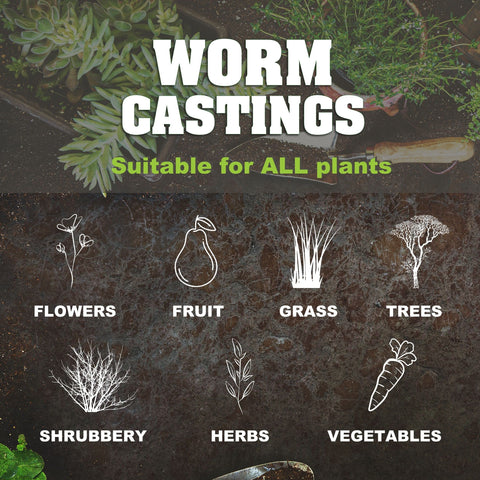 Vibrant garden foliage and blooms with Life Cycle Organics soil amendment.