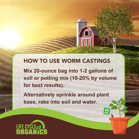 Applying Life Cycle Organics worm castings around plant base to support root development.