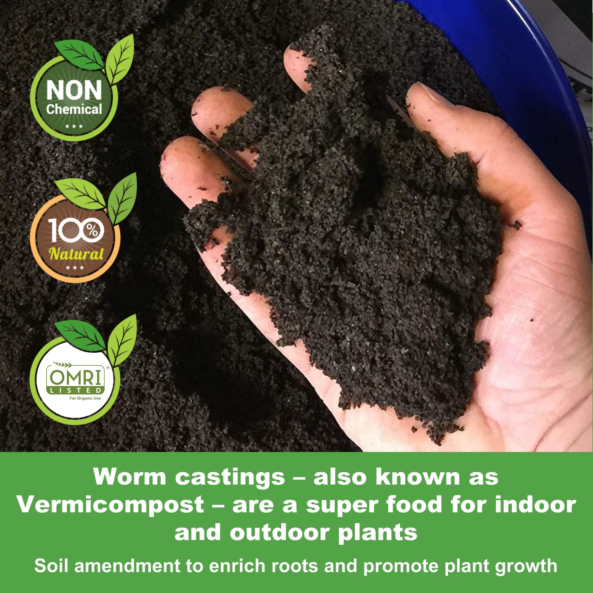 Pouring Life Cycle Organics worm castings into soil for seed starting.