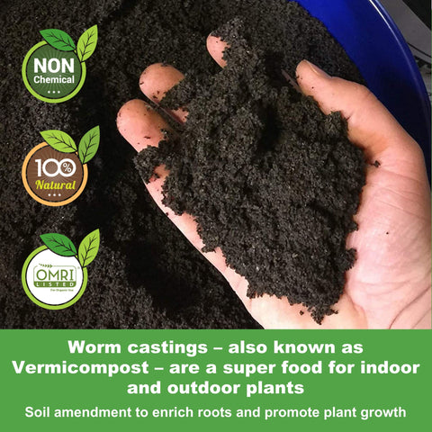 Pouring Life Cycle Organics worm castings into soil for seed starting.