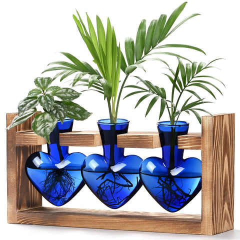 Lifecapido heart-shaped propagation station in blue glass on wooden stand for easy root observation.