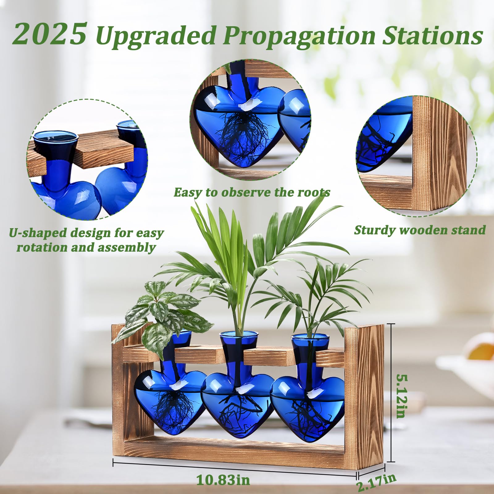 Lifecapido three-vase propagation set on natural wood stand enhances desktop decor.
