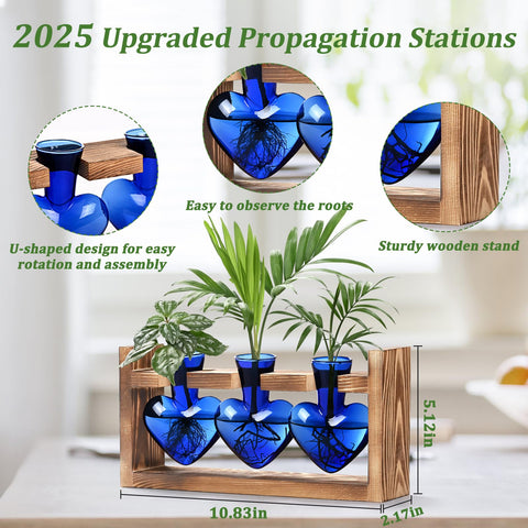 Lifecapido three-vase propagation set on natural wood stand enhances desktop decor.