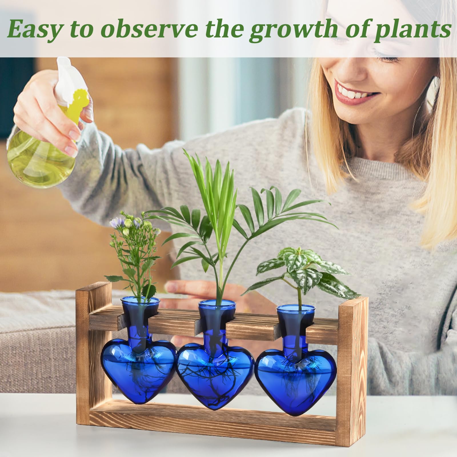 Lifecapido blue propagation vases suitable for hydroponic moss, bamboo, ivy growth.