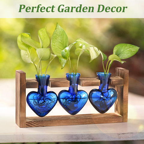 Lifecapido clear glass hearts clearly show roots and new shoots.