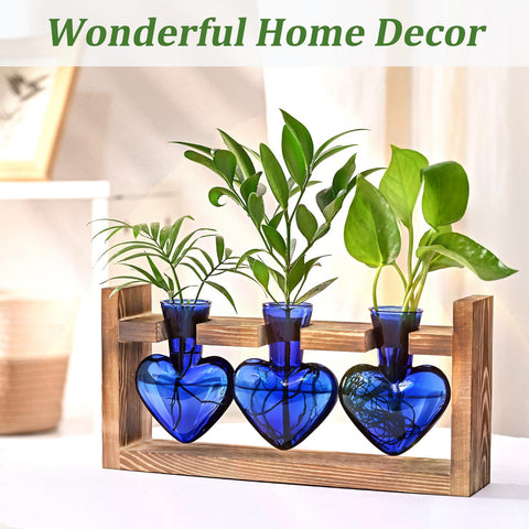 Lifecapido propagation station on wood stand blends beauty with practicality.