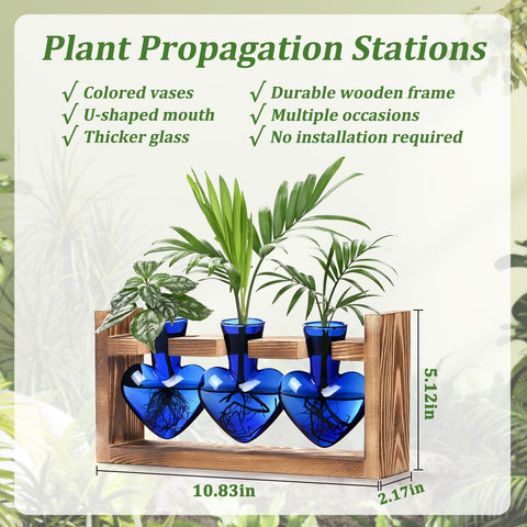 Lifecapido heart-shaped vases make a thoughtful gift for plant lovers.
