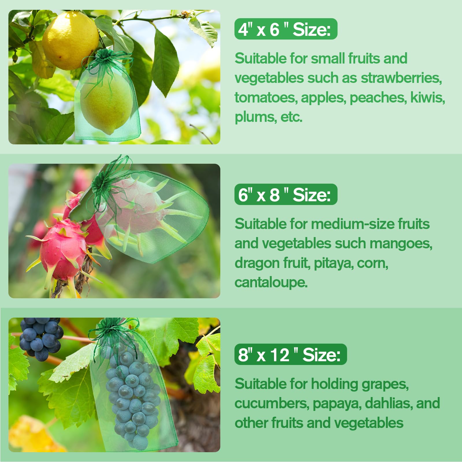 LifeisLuck 4x6 inch bags ideal for small vegetables like tomatoes and figs.