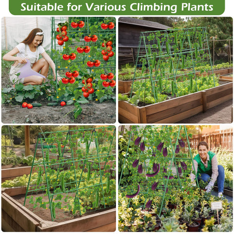 LifeisLuck adjustable garden trellis helps maximize space in raised beds.