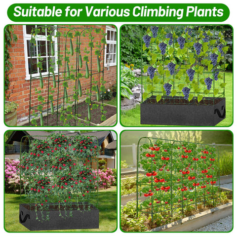 LifeisLuck Dual-Side Plant Support for Peas Tomatoes increases growing area and accessibility.