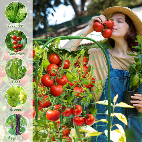 LifeisLuck Heavy-Duty Outdoor Garden Structure is built to endure seasons outdoors.
