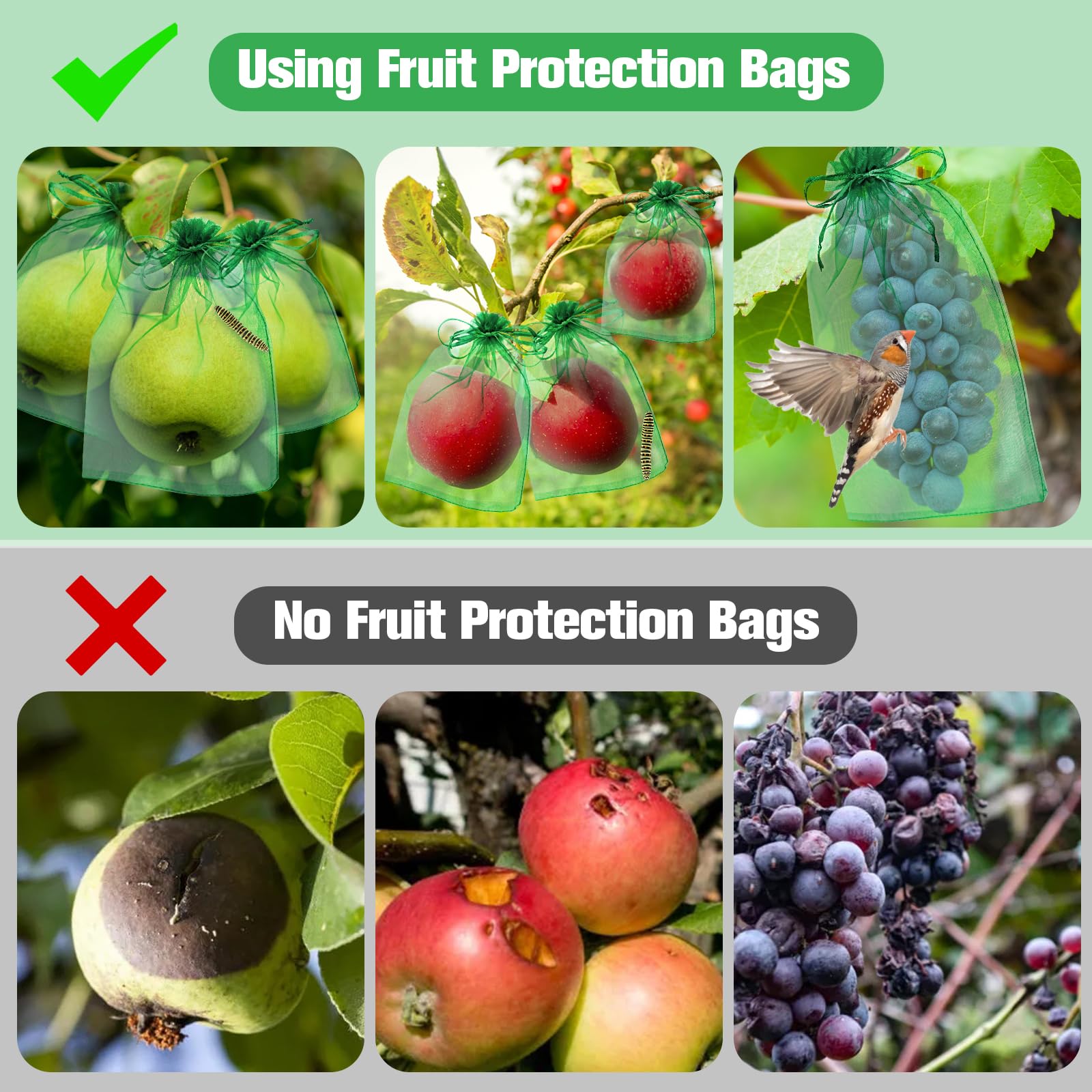 LifeisLuck pest protection bags shielding fruits from birds and insects.