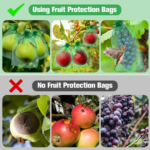 LifeisLuck pest protection bags shielding fruits from birds and insects.