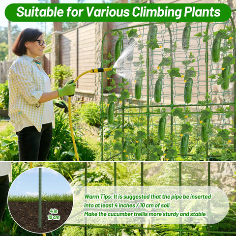LifeisLuck Rust-Resistant Steel Trellis withstands weather for durable, long-term support.