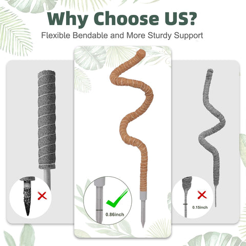 LifeNest moss pole for climbing plants in indoor space