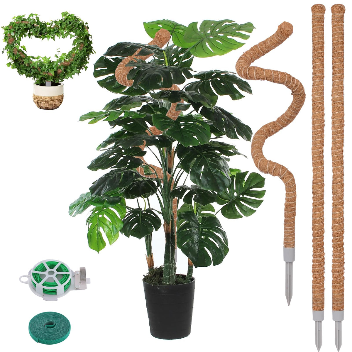 LifeNest 50 inch moss pole supporting monstera with air root growth