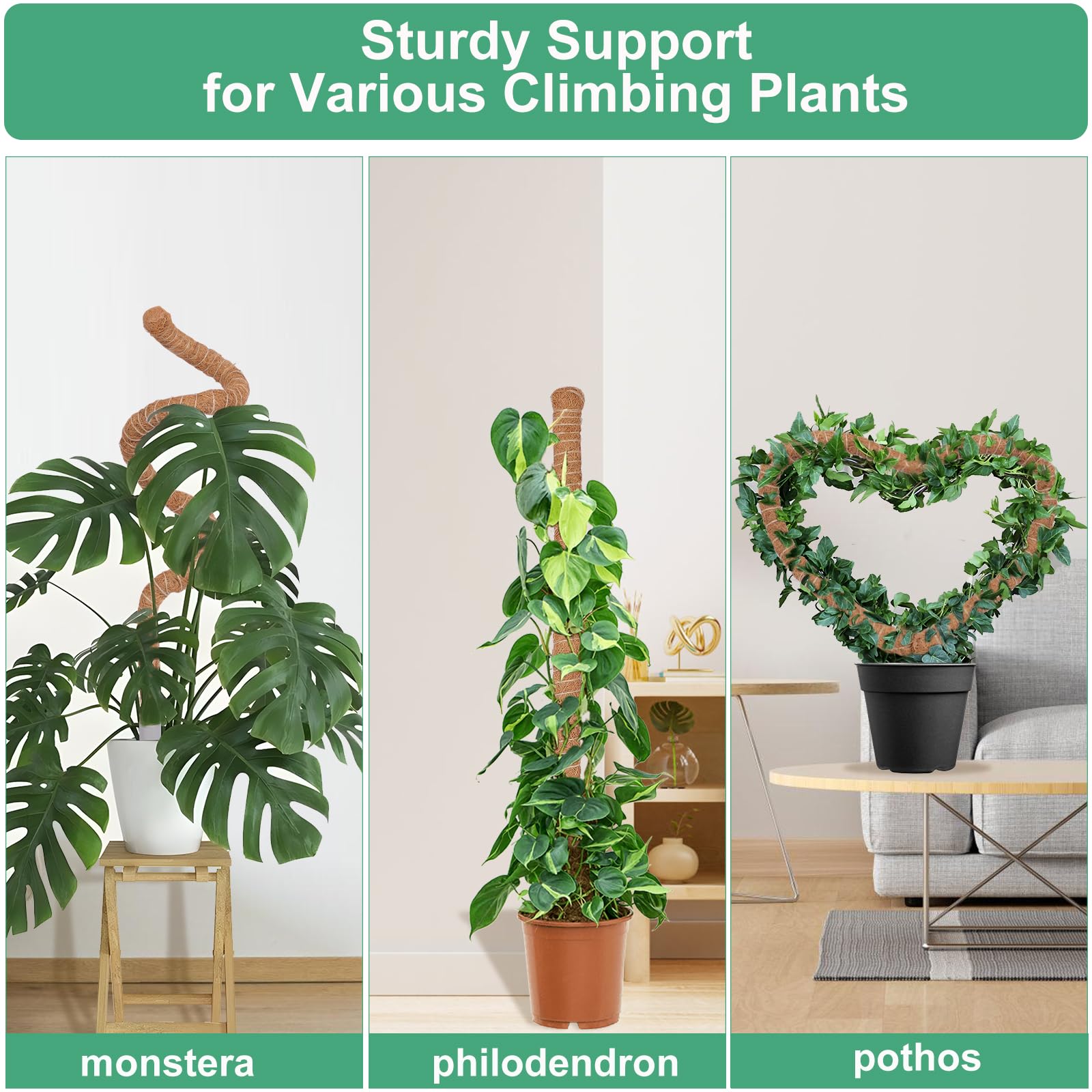 LifeNest moss pole use-case showcases DIY shape options for vines