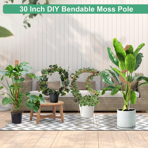 LifeNest moss pole with aluminum core delivers strong, rust-free support