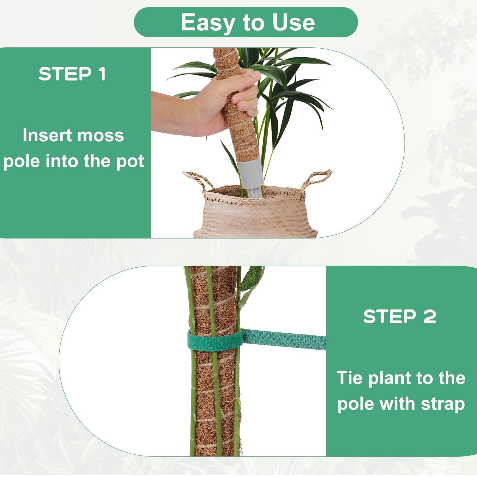 LifeNest indoor outdoor moss pole fits Monstera, pothos, philodendron